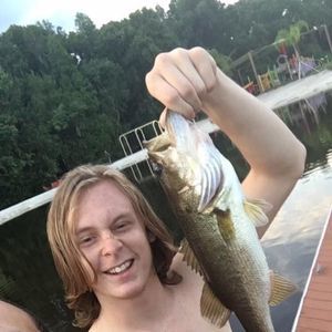 Meet your Posher, Alex